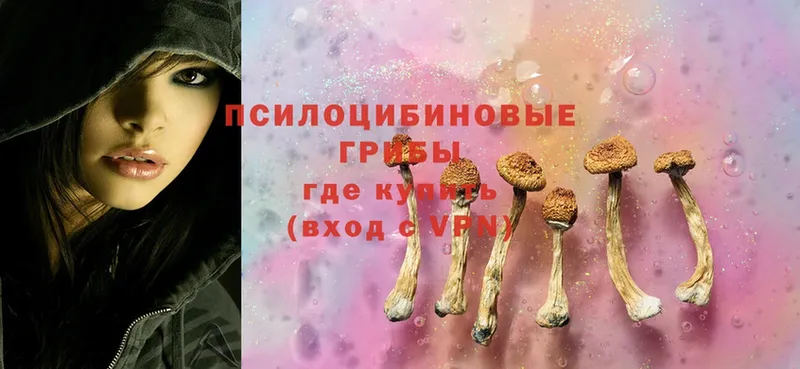 Галлюциногенные грибы Cubensis  Электросталь 